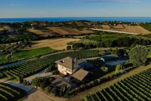 L’Orso e l’Ape B&B