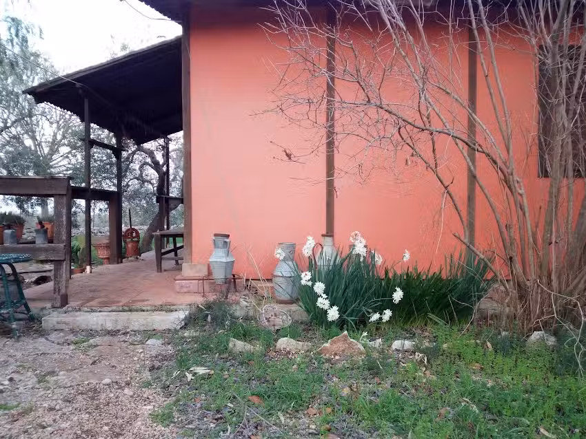 La baita fra gli ulivi