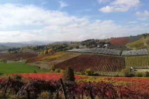 La Barbera Azienda Agrituristica