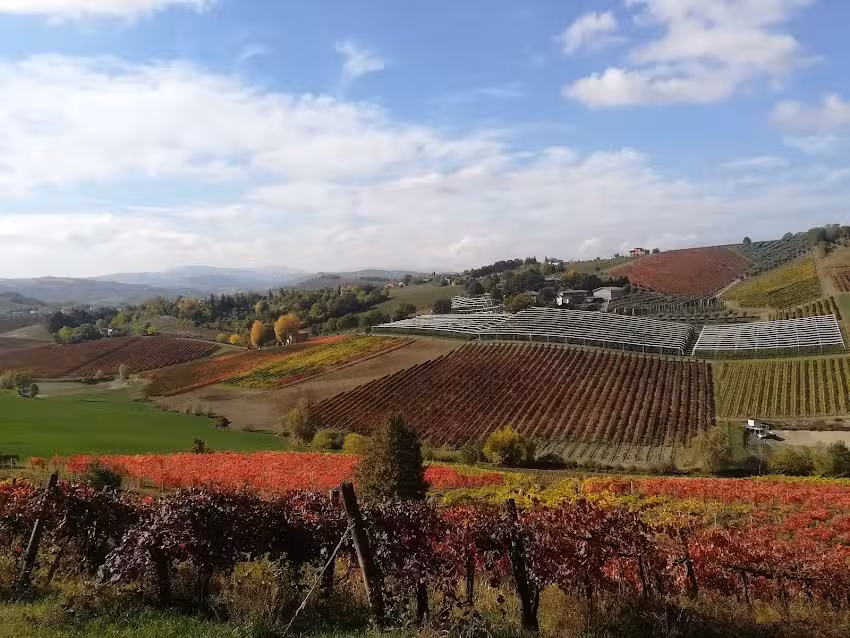La Barbera Azienda Agrituristica
