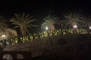 La botte di Villa Alba