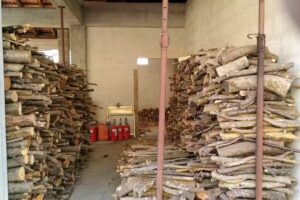 La Casa dei Pensanti