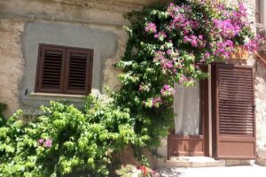 La Casa Della Bouganville di Nicoletta