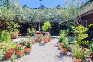 La Casa della Campana – case vacanze affitti estivi