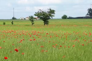 La Casa delle Favole