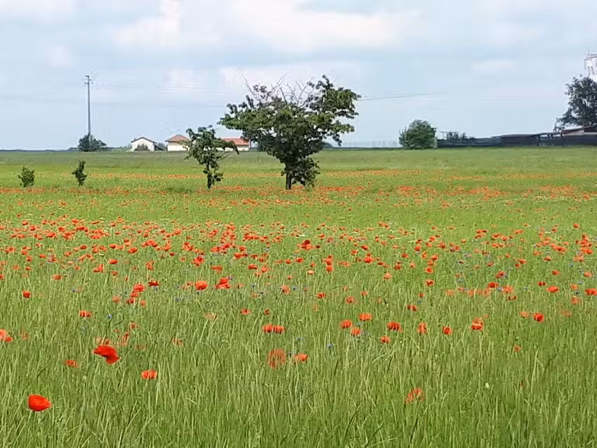 La Casa delle Favole
