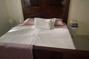 La casa dell’edera