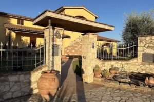 La casa fra gli olivi