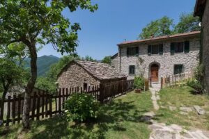 La casa nel bosco