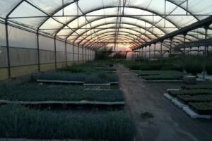 La Casa nel Giardino B&B