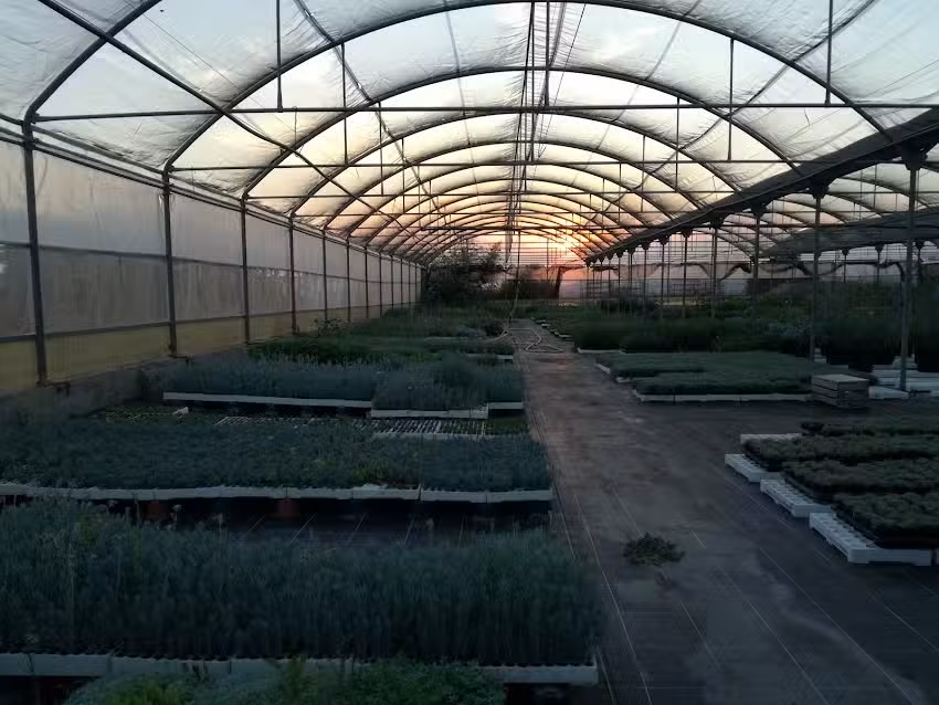 La Casa nel Giardino B&B