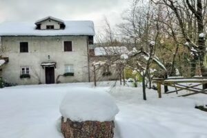 La Cascinetta nel Bosco