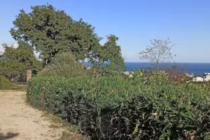 La Casetta in collina vista mare