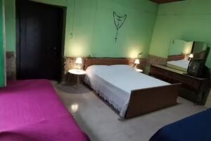 La casetta tra gli Ulivi