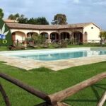 La Collina Degli Olivi