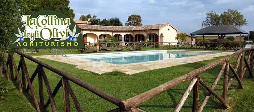 La Collina Degli Olivi