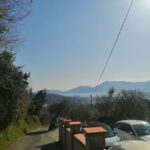 La Collina Degli Ulivi