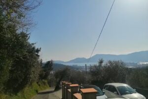 La Collina Degli Ulivi