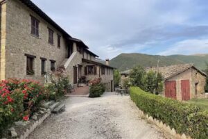 La Collina Dei Ciliegi