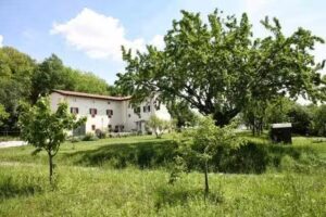 La Collina delle Mignole – alloggio agrituristico