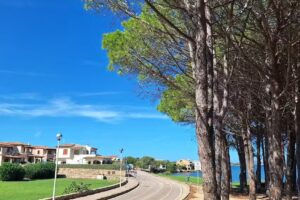 La conia beach house: Terrazza sul Mare