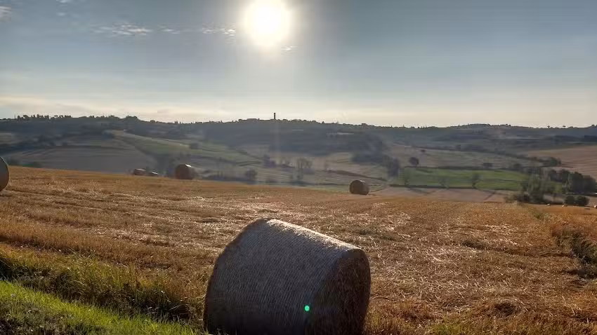 La Contea Centro Vacanze Battilani Marisa