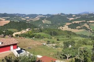 La Contessa (da Fabiola)