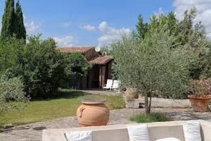 La corte del re dotto