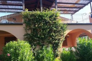 La Fattoria Agriturismo