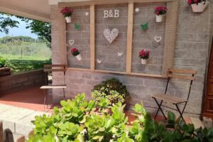 La Fattoria Barbini Azienda Agricola Biologica B&B