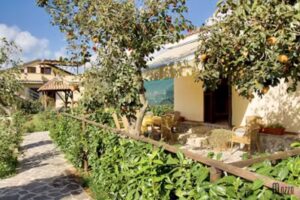 La Fattoria del Cilento