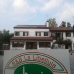 La Libellula