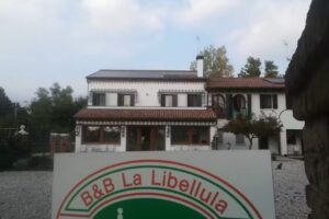 La Libellula
