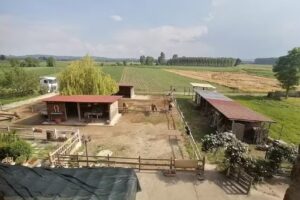 La Locanda di Chicca