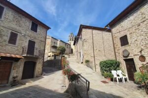 LA LUNA NEL POZZO Castiglion Fibocchi (Arezzo)