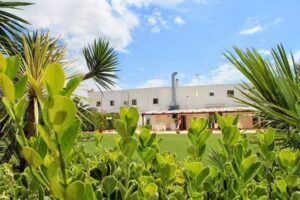 La Nuova Fattoria – Lizzano (TA)