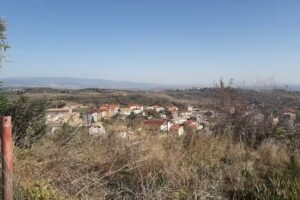 𝐿𝑎 𝑃𝑎𝑛𝑜𝑟𝑎𝑚𝑖𝑐𝑎