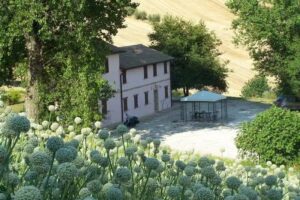 La Quercia del Saggio