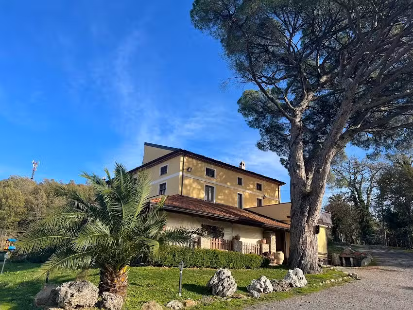 La Quiete del Vecchio Pino