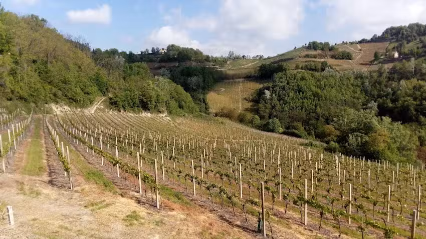 La Rana e la Salamandra House