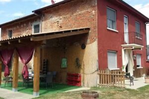 La Rosa tra le Vigne