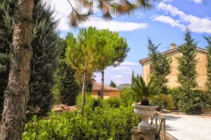 La sorgente dei sali