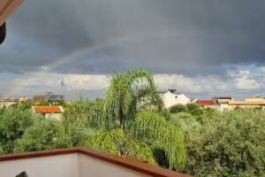 La Tana del Gattopardo