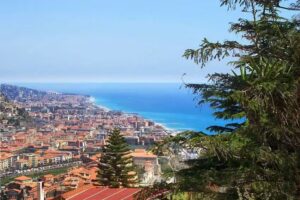 La tana del tasso CIN IT008065C12537BIPS