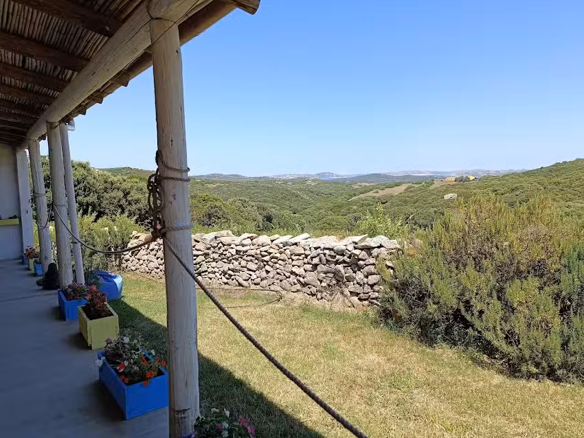 La tana di lu Maccioni