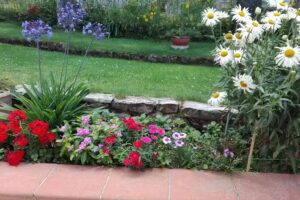 La Tartaruga | AffittaCamere