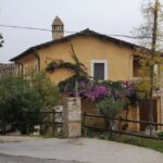 La Valle degli Ulivi