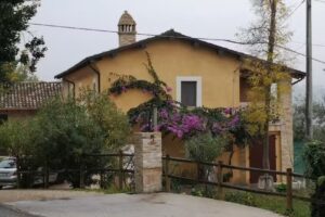 La Valle degli Ulivi