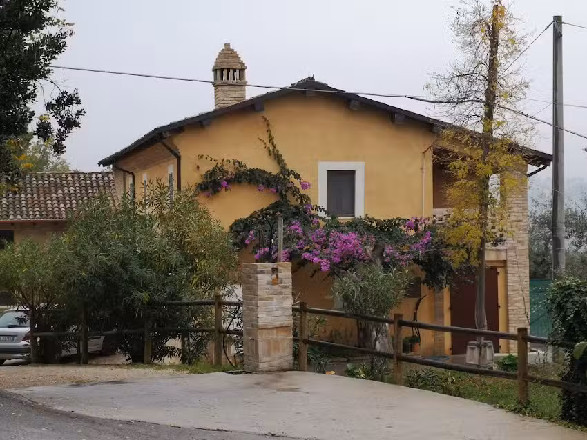 La Valle degli Ulivi