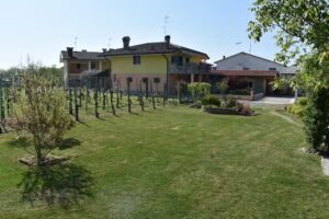 La Vigneta del Noval B&B